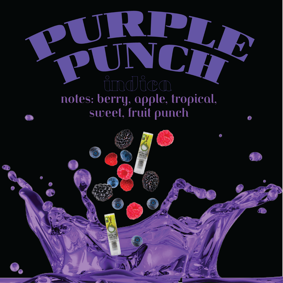 Purple Punch Canna Cart INDICA